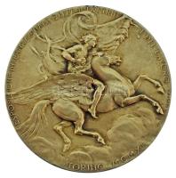 Olaszország / Torino 1911. Nemzetközi Ipari és Munkaügyi Kiállítás "Esposizione Internazionale delle Industrie e del Lavoro" kétoldalas ezüstözött bronz díjérem, hátoldalán névre szóló gravírozással. Szign.: "P. Canonica" &amp; "S. Johnson" (61mm) T:XF Italy / Torino 1911. "Esposizione Internazionale delle Industrie e del Lavoro" two-sided silver-plated bronze award medal, with personalised engraving on the reverse. Sign.: "P. Canonica" &amp; "S. Johnson" (61mm) C:XF