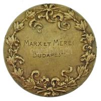 Olaszország / Torino 1911. Nemzetközi Ipari és Munkaügyi Kiállítás "Esposizione Internazionale ...