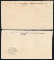 1959 (2 db) 1959 (2 pcs)