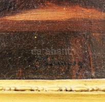 Olvashatatlan jelzéssel, 1900 körül: Lány macskával. Olaj, karton. Dekoratív fakeretben. 27x21 cm