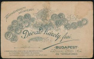 cca 1890-1900 Pap portréja, vizitkártya Divald Károly fiai (Bp.-Tátrafüred) műterméből, 10,5x6,5 cm