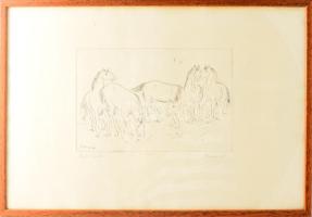 Borsos Miklós (1906-1990): Lovak vízparton. Rézkarc, papír, jelzett, számozott (15/100), üvegezett f...