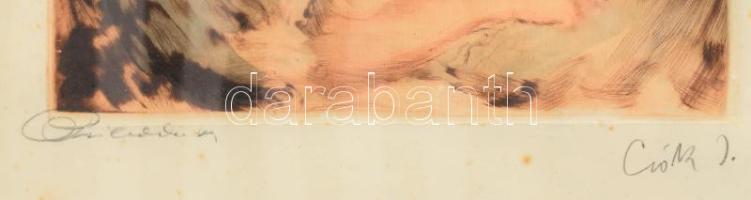 Csók István (1865-1961) - Prihoda István (1891-1956): Züzü. Színezett rézkarc, papír, jelzett (Csók ...