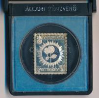 1979. "Nemzetközi Gyermekév" jelzett Ag bélyegérem eredeti "Állami Pénzverő - UNICEF IYC '79 Gyermekév" tokban (~3,30g/0.835/27x22mm) T:PP patina