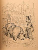 Münchhausen báró csodálatos kalandjai szárazon és vízen. A magyar ifjuság számára átdolgozta: Baróti...