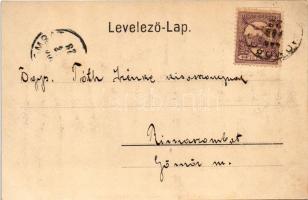 1900 Segesvár, Schässburg, Sighisoara; Evangélikus gimnázium. Teutsch Frigyes kiadása, Roth G. H. fé...