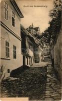 Segesvár, Schässburg, Sighisoara; utca. Fritz Teutsch kiadása / street view (EB)