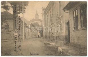 1912 Rózsahegy, Ruzomberok; Panská ulica, synagoga / Úri utca, zsinagóga. Klimácek Sándor kiadása / street with synagogue (r)