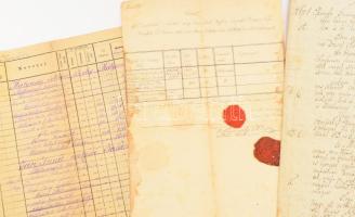 1800-1879 A nemes Mátyássy család nemességével és vagyonával kapcsolatos iratok. Mátyási Károly neme...