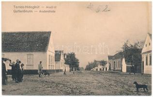 Temeshidegkút, Hidegkút, Sabran-Guttenbrunn, Zabrani; Aradi út, utcakép. Johann Nebel kiadása / stre...