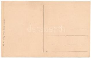 Temeshidegkút, Hidegkút, Sabran-Guttenbrunn, Zabrani; Aradi út, utcakép. Johann Nebel kiadása / stre...