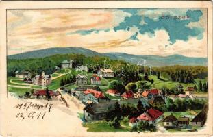 1899 (Vorläufer) Borszék, Borsec; látkép / general view. Kunstanstalt Kosmos 143. litho s: Geiger R. (fl)
