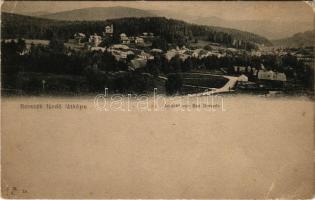 Borszék, Borsec; fürdő látképe / Ansicht von Bad Borszék / general view, spa (EK)