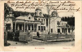 Borszék, Borsec; Török villa, Vácsuk villa. Heiter György fényképész kiadása / villas (EK)