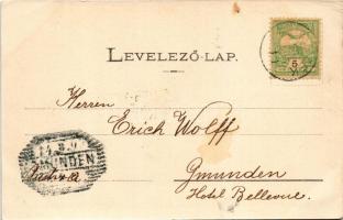 Borszék, Borsec; Török villa, Vácsuk villa. Heiter György fényképész kiadása / villas (EK)