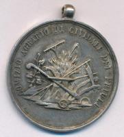 Olaszország DN~(1930-1940) Friuli Város Mezőgazdasági Tanácsa "Comizio Agrario di Civididale del Friuli" kétoldalas, jelzetlen Ag emlékérem füllel (11,04g/0.800/36mm) T:XF, patina  Italy ND(~1930-1940) "Comizio Agrario di Civididale del Friuli" two-sided, unmarked Ag commemorative medallion with ear (11,04g/0.800/36mm) C:XF, patina