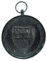 1940. "Erdélyi részek felszabadulásának emlékére" Zn emlékérem. Szign.: Berán T:VF, pici o...