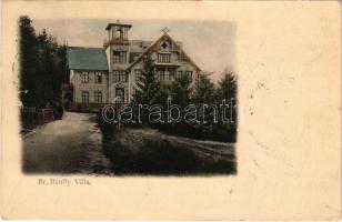 1902 Tusnádfürdő, Baile Tusnad; Báró Bánffy villa / villa (EK)