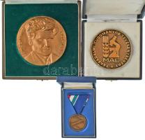 1973. "Kiskörei Vízlépcső Emlékérem" bronz kitüntetés mellszalagon, tokban + DN "MAE - Társadalmi tudományos tevékenységért / Szocialista faluért" kétoldalas öntött bronz plakett eredeti tokban (80mm) + DN "Somogyi Imre 1902-1947 / Kertbarát és Kistenyésztő Mozgalomért" kétoldalas, öntött bronz emlékérem eredeti tokban (98mm) T:AU,XF