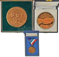 1973. "Kiskörei Vízlépcső Emlékérem" bronz kitüntetés mellszalagon, tokban + DN "MAE ...