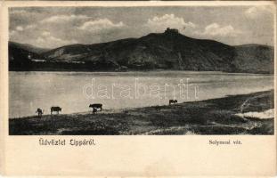 Lippa, Lipova; Solymosi vár, Maros part / Soimos castle ruins, Mures riverside (EK)