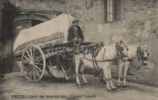 Firenze wine carriage (EK)