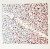 Olvashatatlan jelzéssel: Villanás (cím nélkül). Szitanyomat, papír. Számozott (5/30). Hajtásnyommal. 24x26,5 cm