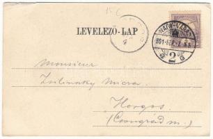 1901 Nagyvárad, Oradea; Kereskedelmi csarnok, múzeum, Silberstein B. üzlete. Helyfi László kiadása /...