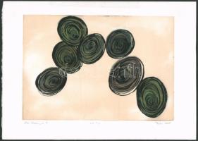 Terjék Eszter (-): Őszi örvények III., 2003. Litográfia, papír. Művészpéldány E.A. II./V számozással. 16x23 cm