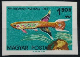 1962 Akváriumi díszhalak 1,50Ft vágott bélyeg lemezhibával (ráncok / creases)