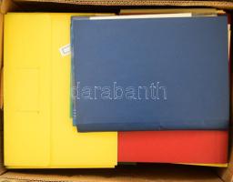 cca 1980-2010 Pál Lénárd (1925-2019) Kossuth-díjas fizikus, matematikus, politikus irat hagyatéka, főleg különféle írások és tanulmányok, neki szólóak és sajtjai vegyesen, de benne cikkek, különlenyomatok, gépelt és nyomtatott anyagok...stb., közte 1 levél, dísztávirat, újévi üdvözlőkártya, valamint egy mappában kézzel írt anyagok is. Érdekes, átnézendő anyag.