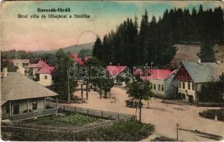1915 Borszékfürdő, Baile Borsec; Strul villa és főbejárat a fürdőbe / villa, spa entrance (kopott sarkak / worn corners)
