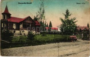 Borszékfürdő, Baile Borsec; Ilona villa / villa (kopott sarkak / worn corners)