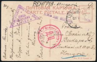 1917 Hadifogoly lap látványos bélyegzésekkel Tobolszkból (moszkvai képeslap)