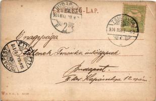 1904 Temesvár, Timisoara; Gyárváros, Andrássy út, villamos. D. T. C., L. 22720. / Fabric, street, tr...