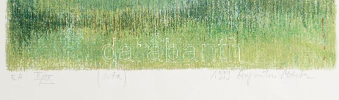 Augusztin Márta (1976): Cím nélkül, 1999. Szitanyomat, papír, jelzett, művészpéldány EA. II/IX számo...