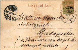 1904 Temesvár, Timisoara; Jenő herceg tér. D. T. C., L. 24196. / square (EB)