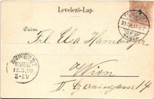 1899 (Vorläufer!) Temesvár, Timisoara; Losonczy tér, szerb püspöki palota, szálloda, piac, üzletek. ...