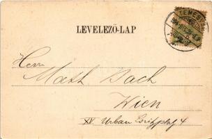 1904 Temesvár, Timisoara; Józsefváros, Ferenc József híd, Arany Horgony Kávéház, villamos. Králicsek...