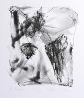 Bolyki Viola (1977-): Só. Litográfia, papír, jelzett, művészpéldány EA I/X számozással. 27x23 cm