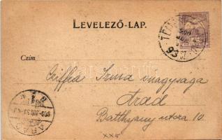 1900 Temesvár, Timisoara; Józsefvárosi Takarékpénztár, Párisi Nagy Áruház. Bernhard E. fényképész, K...