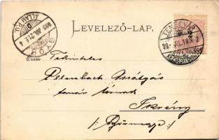 1899 (Vorläufer!) Temesvár, Timisoara; Kossuth Lajos utca, Takarékpénztár, Párisi Nagy Áruház, üzlet...