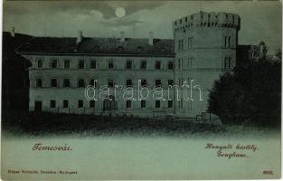 Temesvár, Timisoara; Hunyadi kastély este holdfényben- Edgar Schmidt 6033. (Dresden-Budapest) / castle at night in moonlight, Zeughaus (vágott / cut)