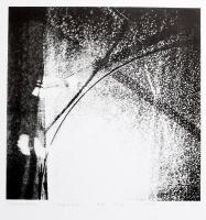 Olvashatatlan jelzéssel: Tükröződés, 2006. Litográfia, papír. Művészpéldány EA X/XIII számozással. 20x20 cm