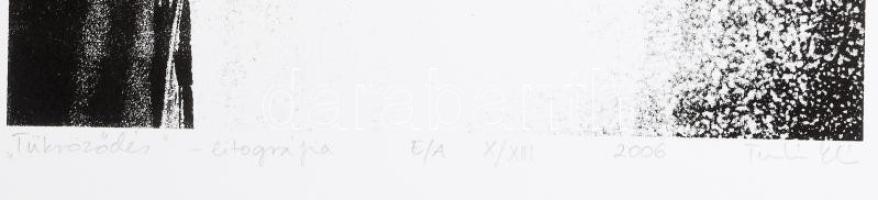 Olvashatatlan jelzéssel: Tükröződés, 2006. Litográfia, papír. Művészpéldány EA X/XIII számozással. 2...