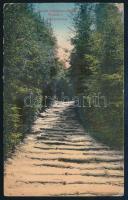 1918 Képeslap "PRAGERHOF-BUDAPEST" mozgóposta bélyegzéssel