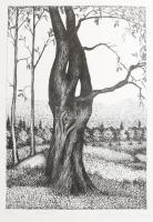 Olvashatatlan jelzéssel: Öreg fa X. Litográfia, papír. 18/20 számozással. 32x22 cm