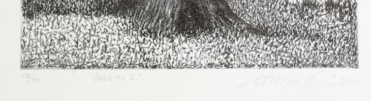 Olvashatatlan jelzéssel: Öreg fa X. Litográfia, papír. 18/20 számozással. 32x22 cm