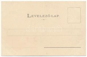 Fogaras, Fagaras; Evangélikus templom, C. Chiba, Adrian Furgal üzlete. Szinberger Manó kiadása / Lut...