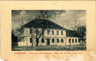 1913 Temesrékas, Temes-Rékás, Recas; Római katolikus elemi iskola. W.L. Bp. 2491. / Catholic elementary school (b)